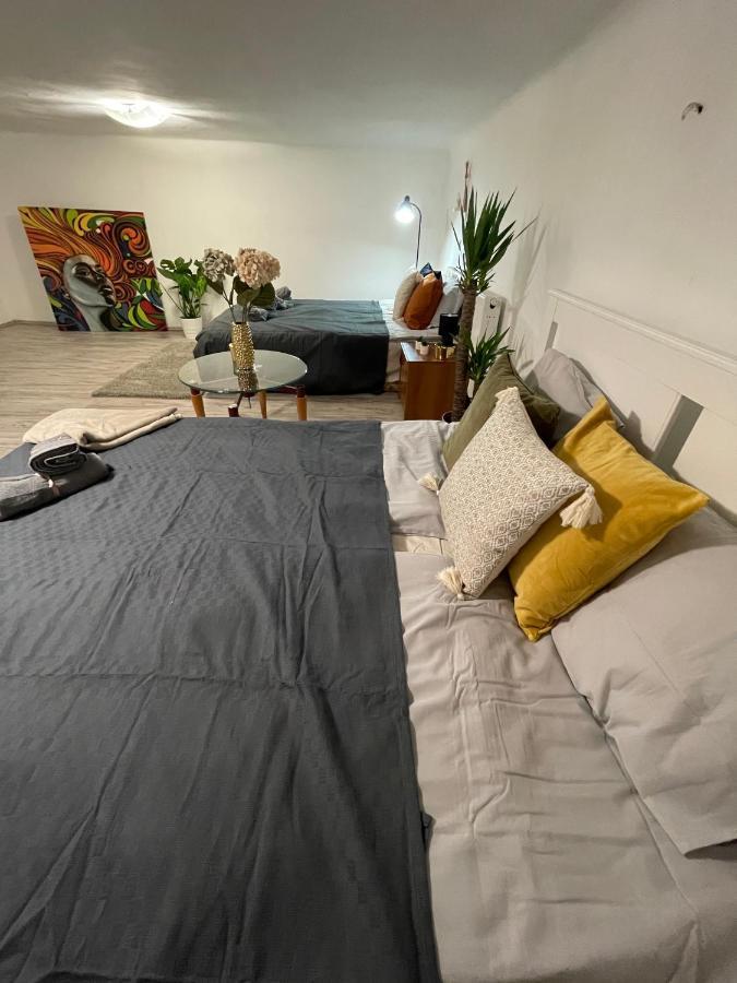 Vintage Home In The Heart Of The City Budapest Ngoại thất bức ảnh