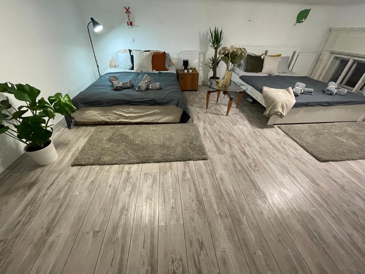 Vintage Home In The Heart Of The City Budapest Ngoại thất bức ảnh